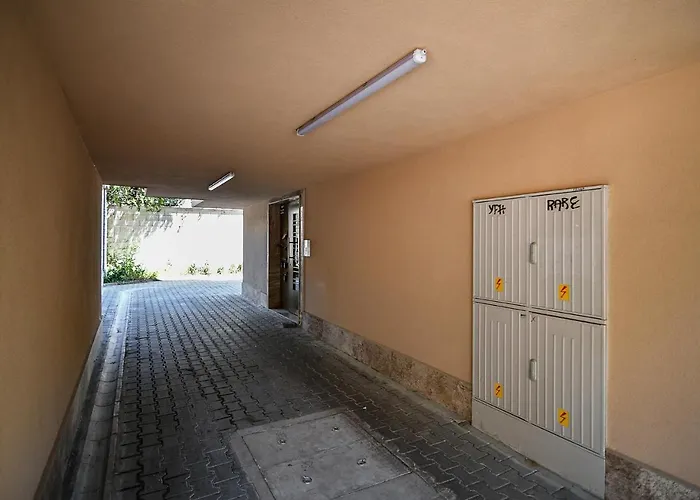 Cozy Flats Nearby Center Free Park Area 公寓